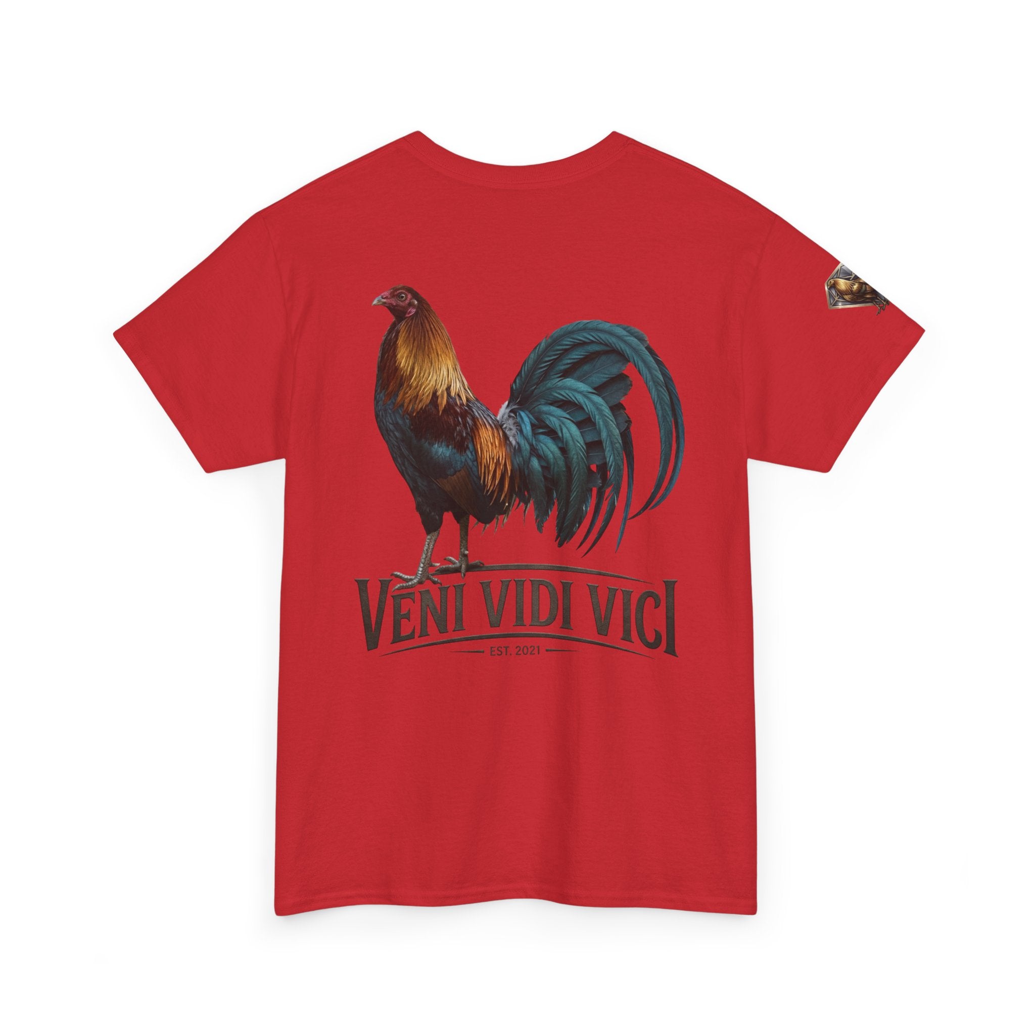 Veni Vidi Vici Unisex Heavy Cotton Tee