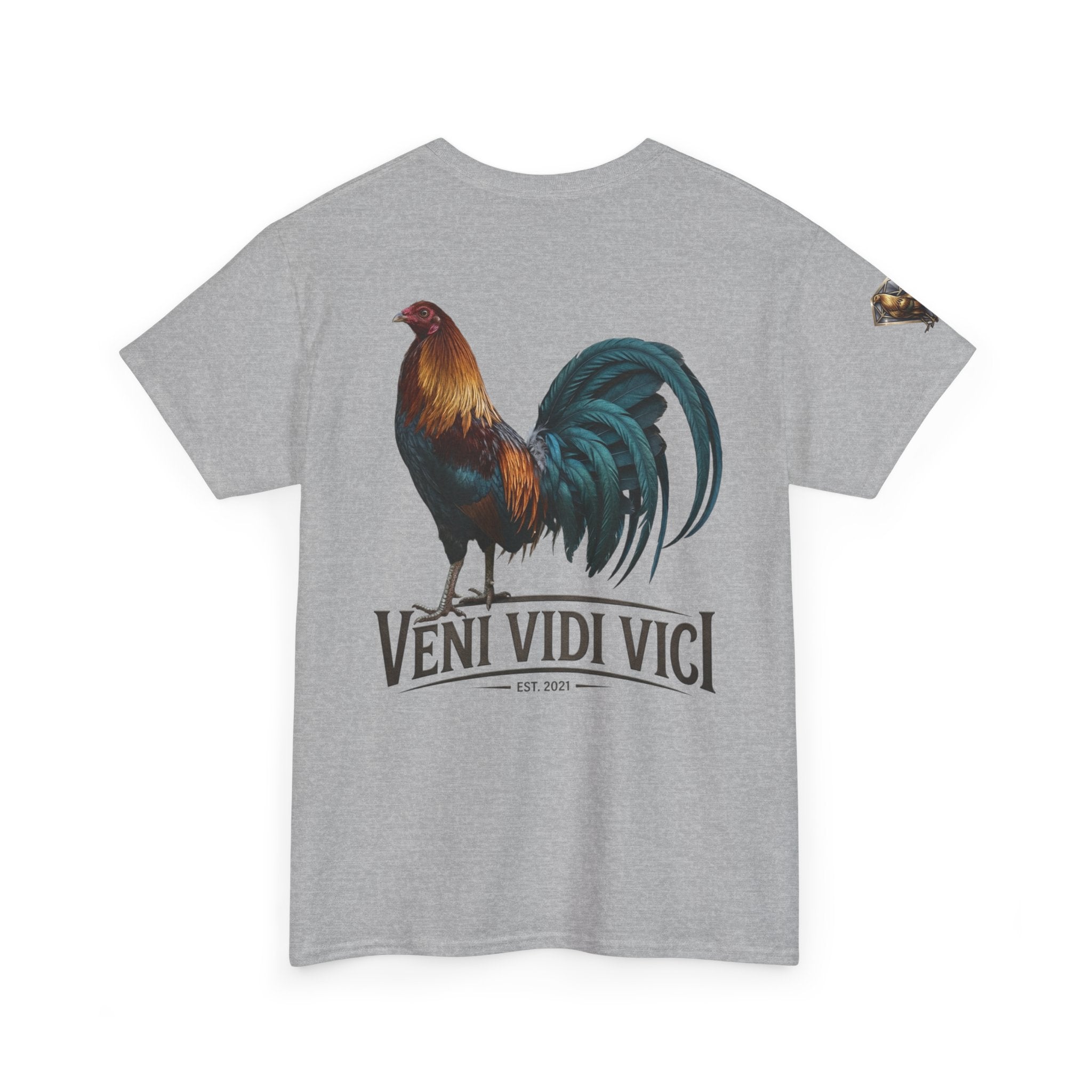 Veni Vidi Vici Unisex Heavy Cotton Tee