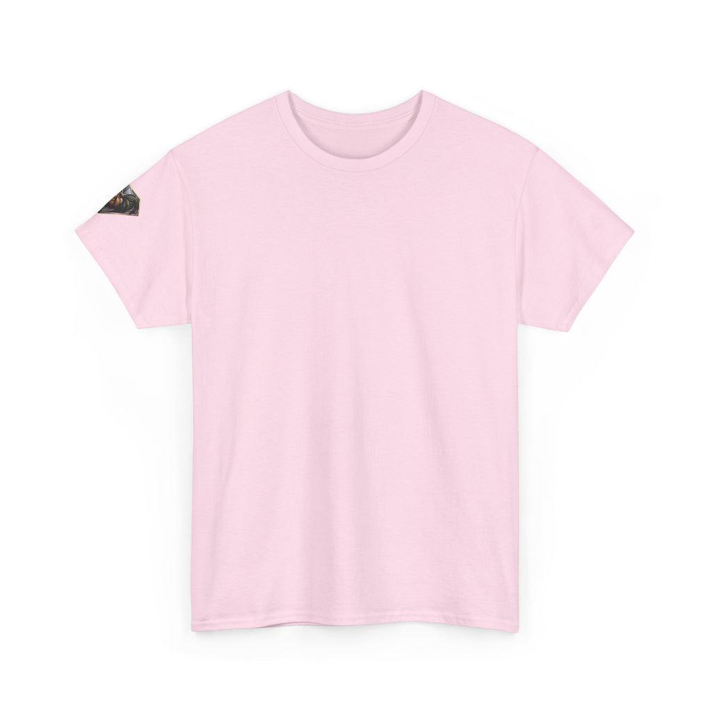 Veni Vidi Vici Unisex Heavy Cotton Tee