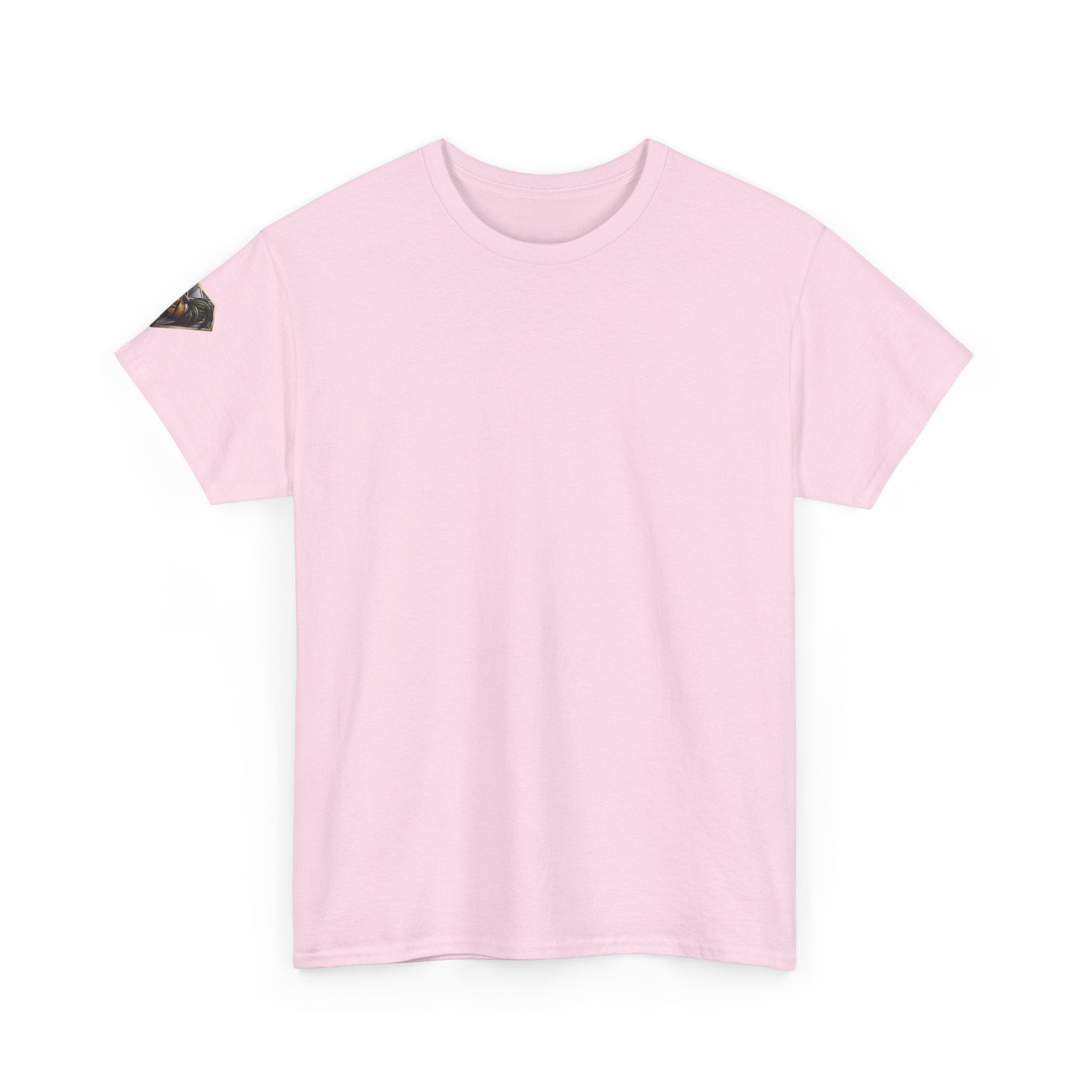Veni Vidi Vici Unisex Heavy Cotton Tee