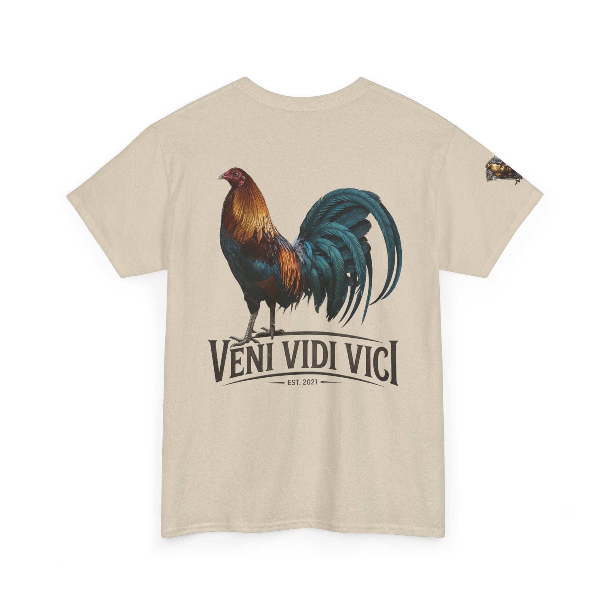 Veni Vidi Vici Unisex Heavy Cotton Tee