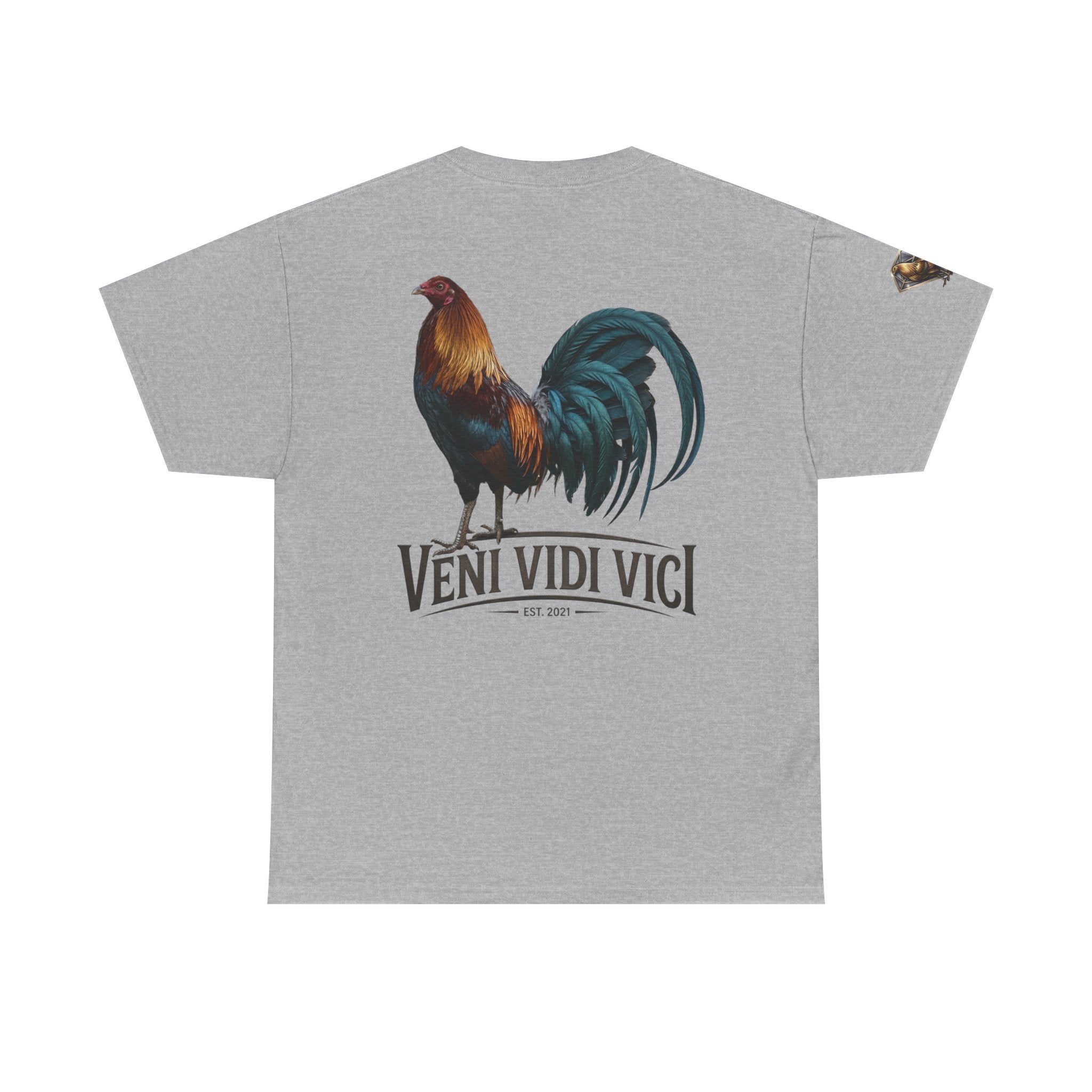 Veni Vidi Vici Unisex Heavy Cotton Tee