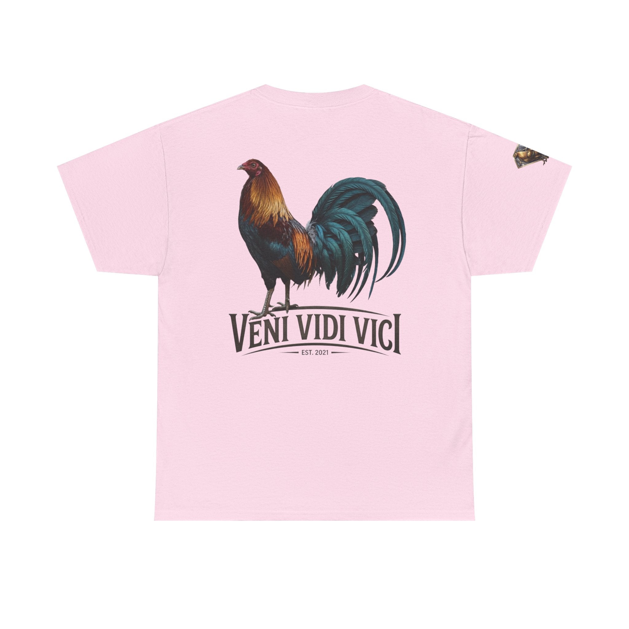 Veni Vidi Vici Unisex Heavy Cotton Tee
