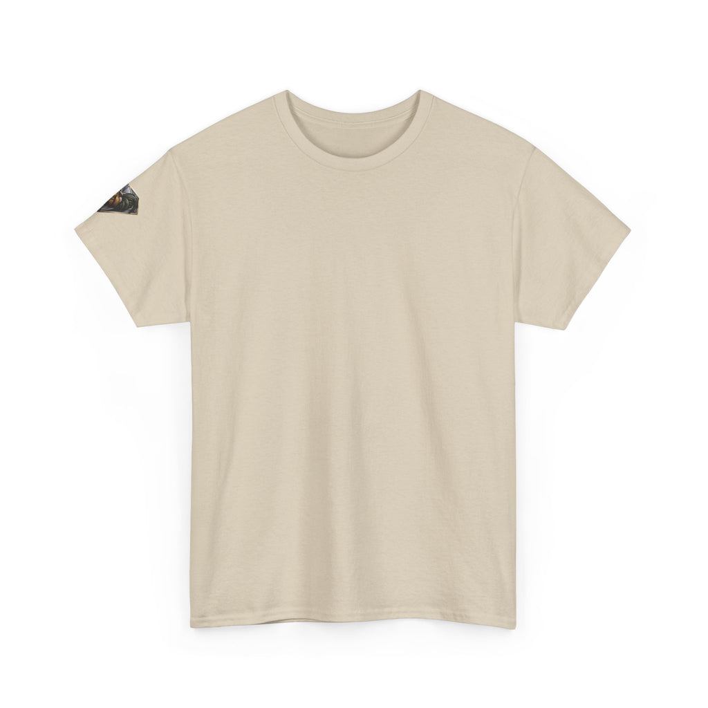 Veni Vidi Vici Unisex Heavy Cotton Tee