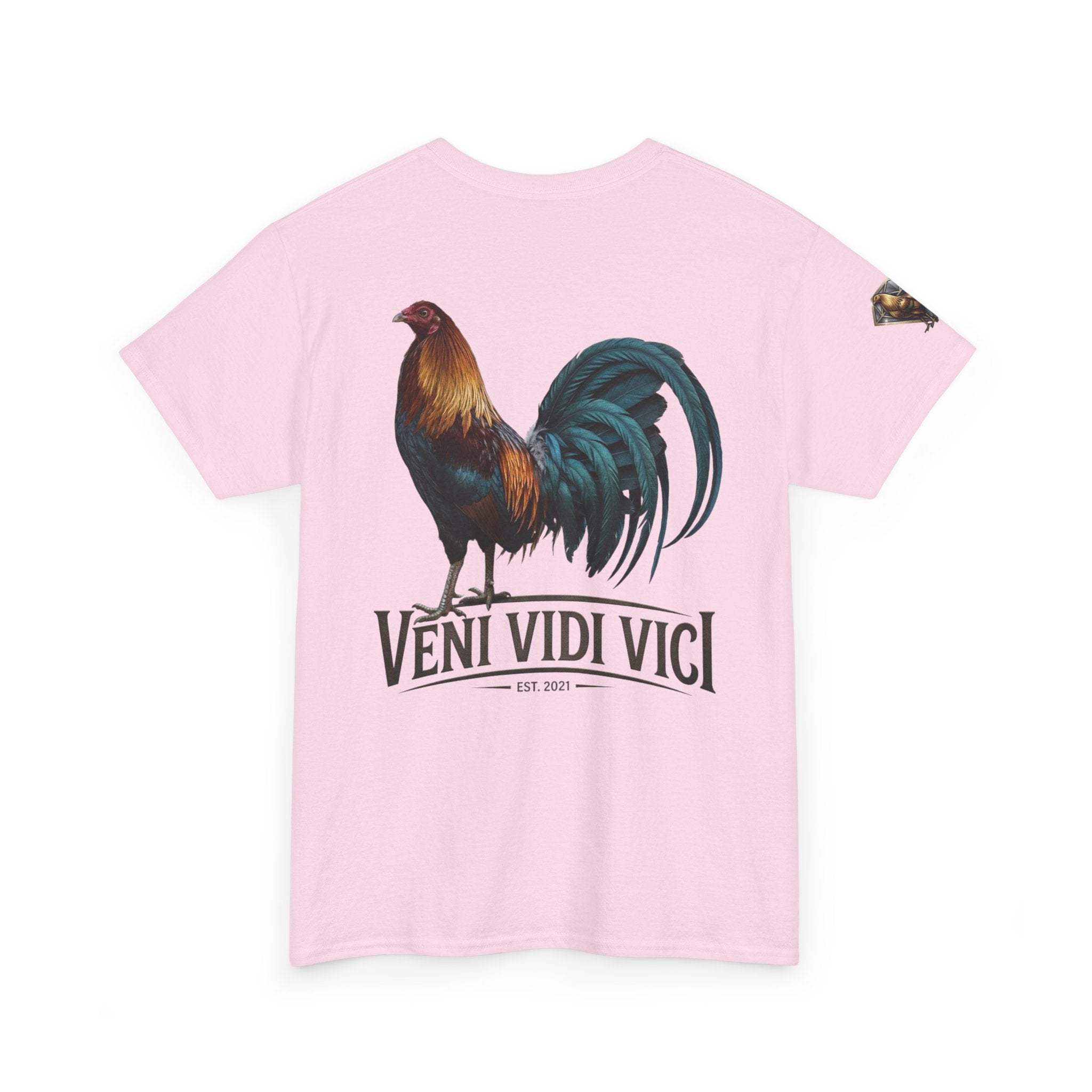 Veni Vidi Vici Unisex Heavy Cotton Tee