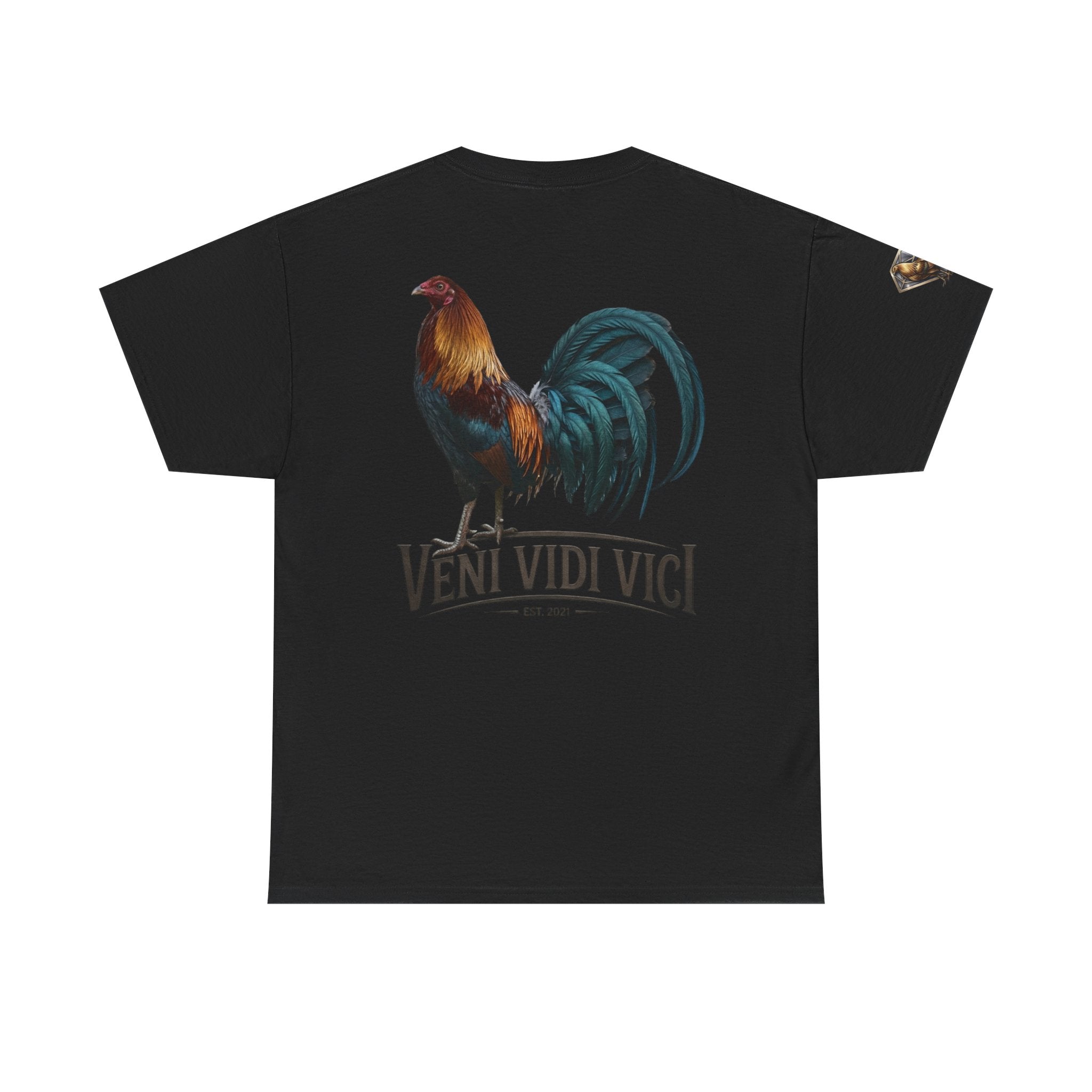 Veni Vidi Vici Unisex Heavy Cotton Tee