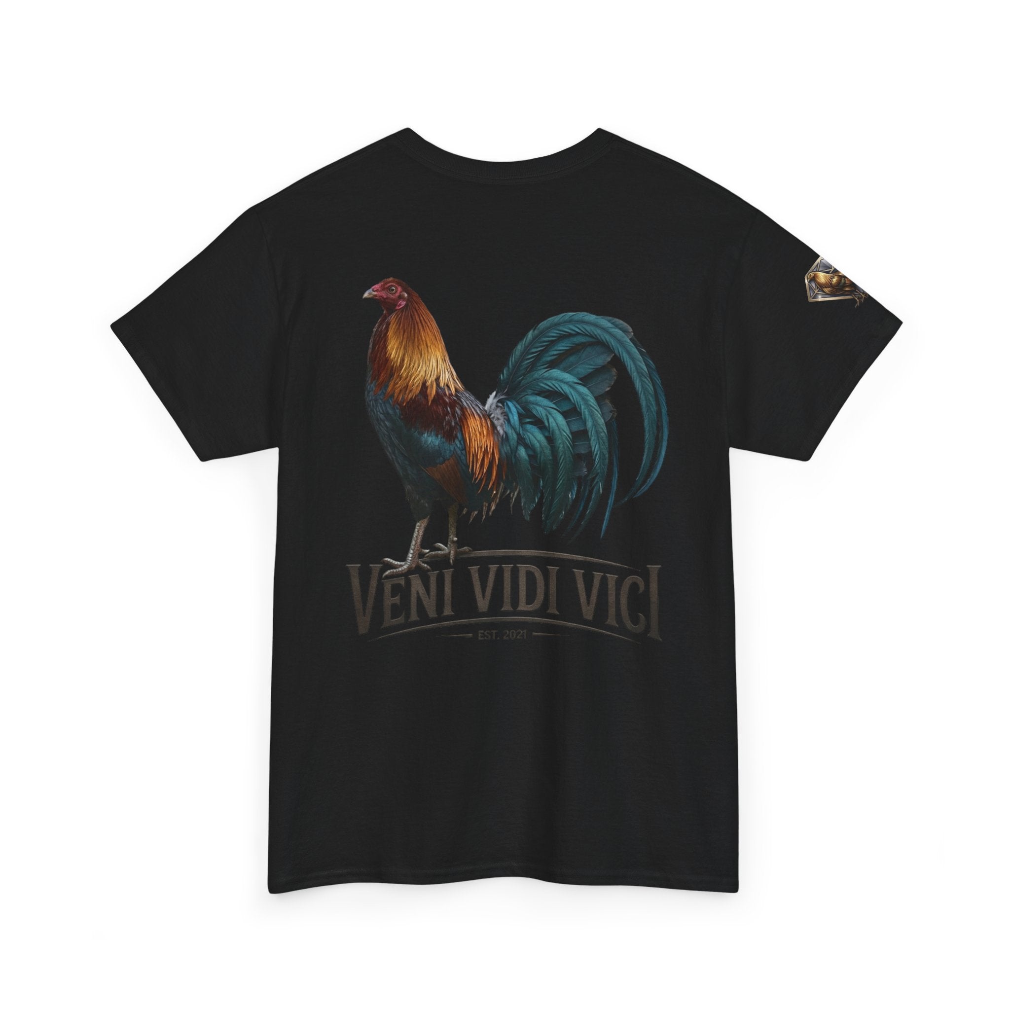Veni Vidi Vici Unisex Heavy Cotton Tee