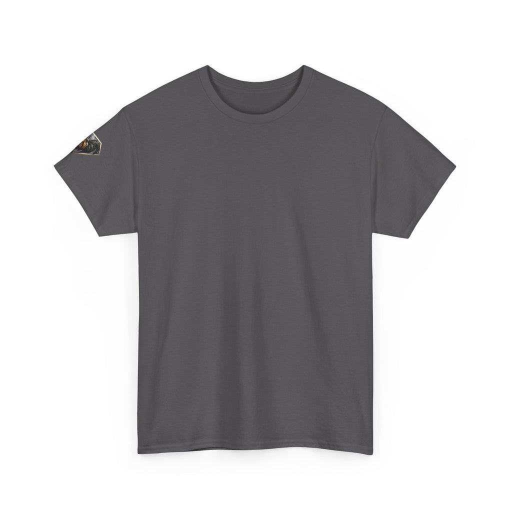 Veni Vidi Vici Unisex Heavy Cotton Tee