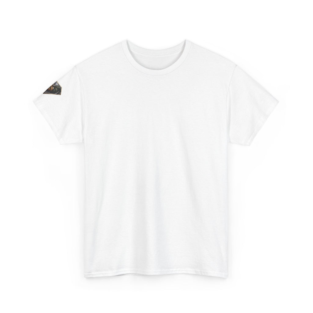 Veni Vidi Vici Unisex Heavy Cotton Tee
