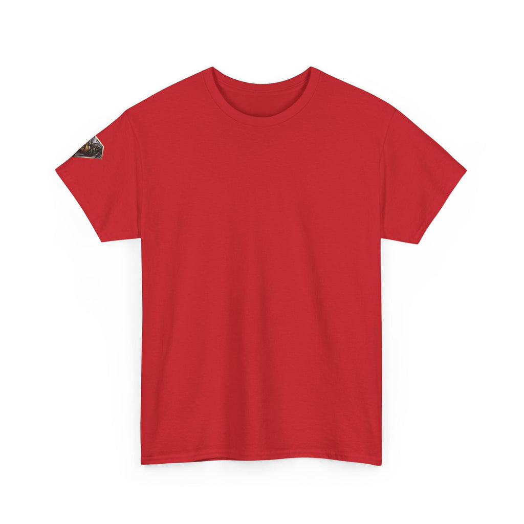 Veni Vidi Vici Unisex Heavy Cotton Tee