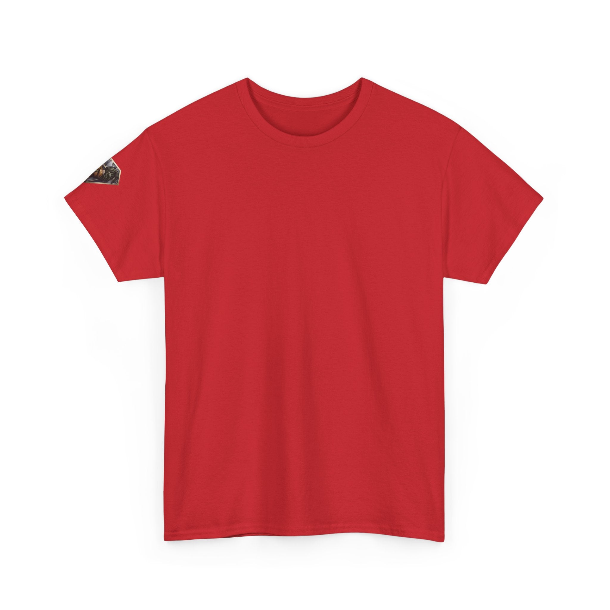 Veni Vidi Vici Unisex Heavy Cotton Tee