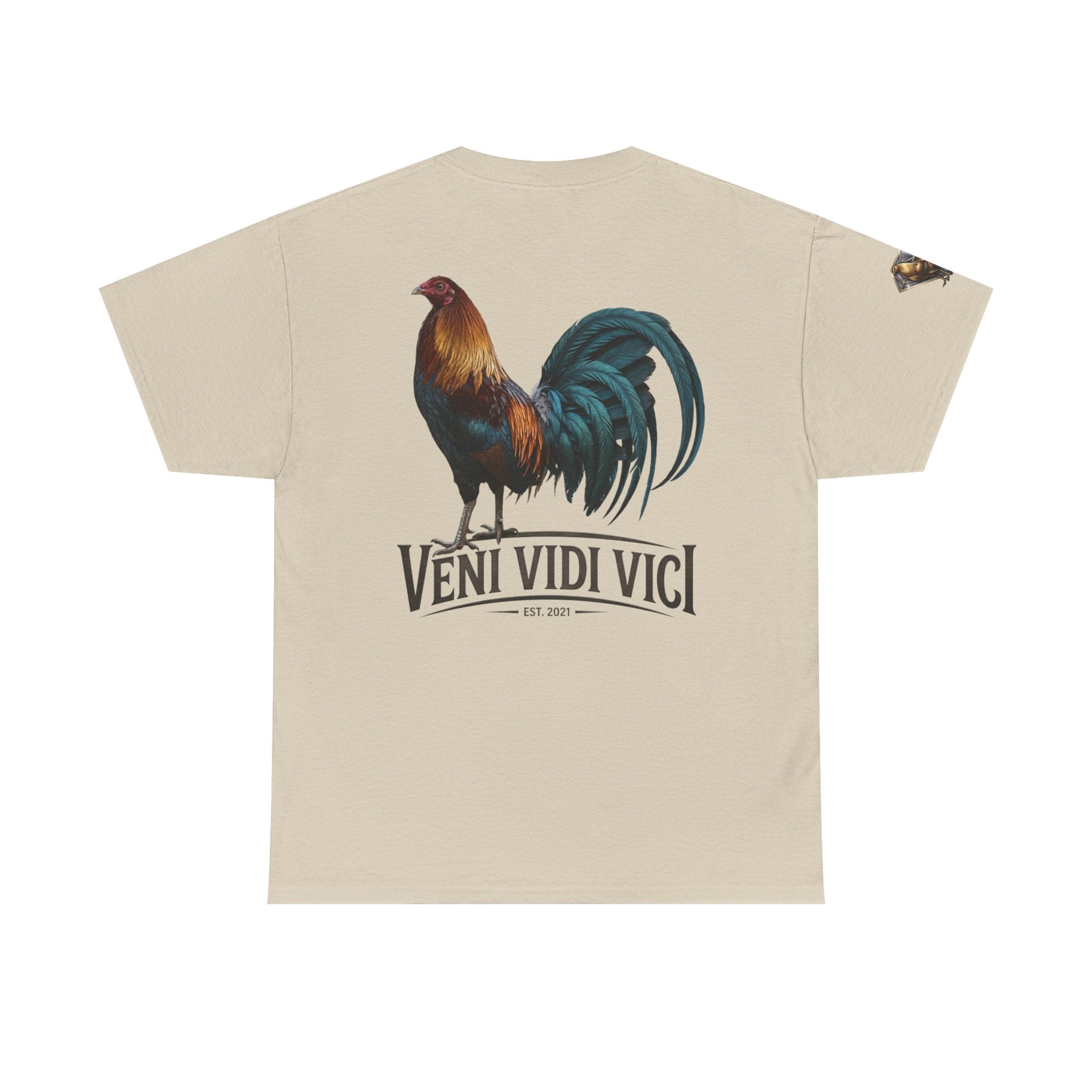 Veni Vidi Vici Unisex Heavy Cotton Tee